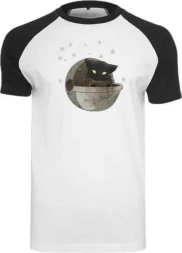 Baby Cat Mission