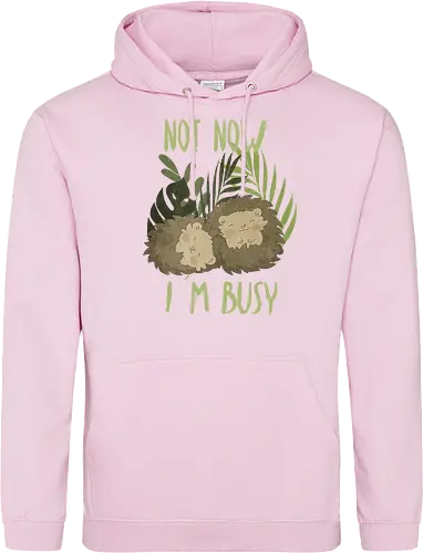 Busy Hedgehog