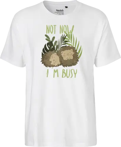 Busy Hedgehog