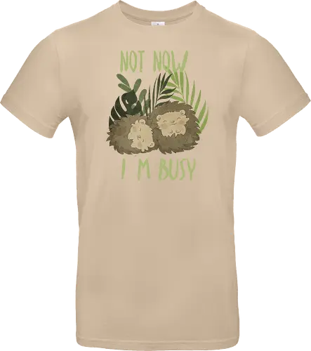 Busy Hedgehog