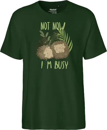 Busy Hedgehog
