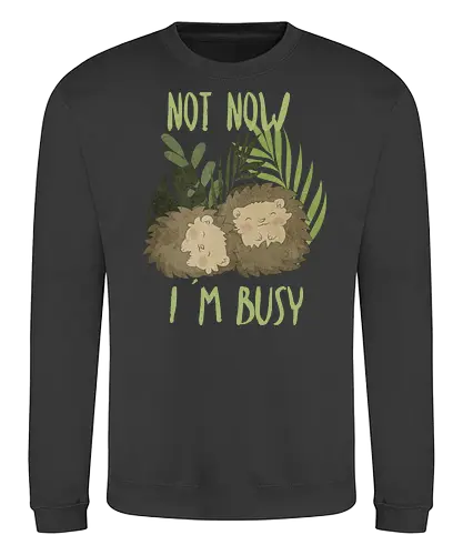 Busy Hedgehog - hedgehog, igel, cute, kawaii, Busy, sleep - Sweatshirt