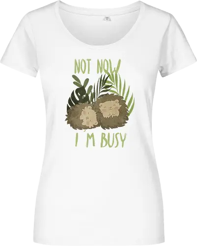 Busy Hedgehog