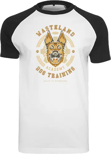 Wasteland Training Academy