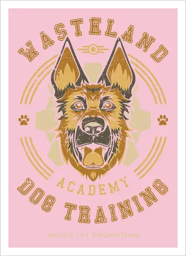 Wasteland Training Academy
