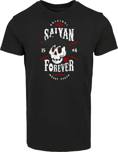 Saiyan Forever