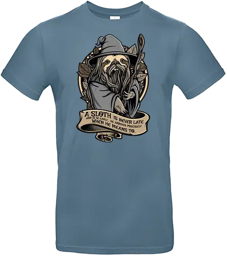 Sloth the Grey - ring, wizard, hobbit - Standard T-Shirt
