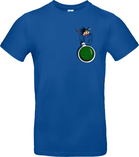 Pocket Radar