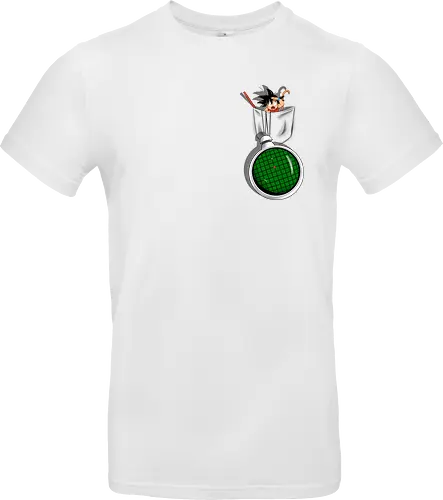 Pocket Radar