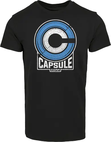 Capsule 2073