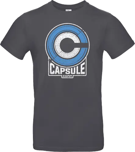 Capsule 2073