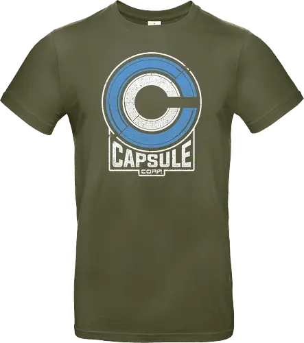 Capsule 2073