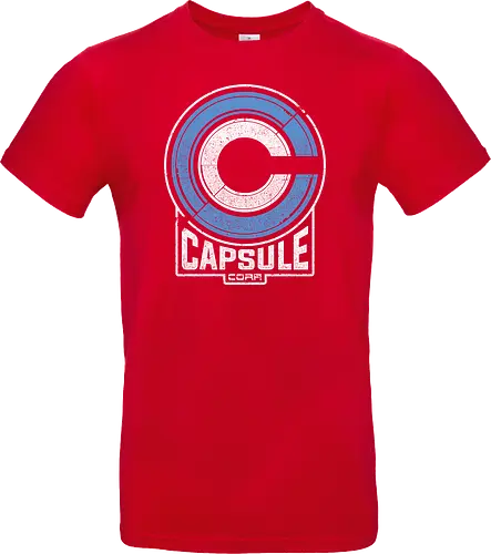 Capsule 2073