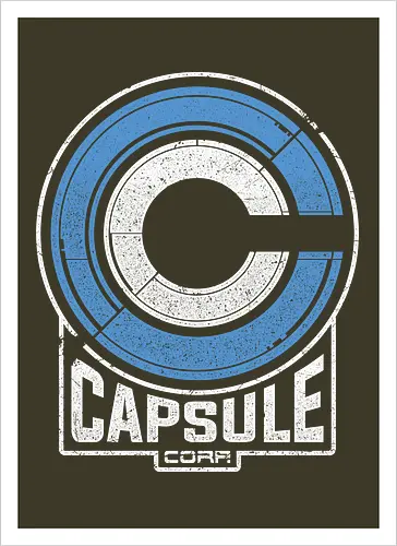 Capsule 2073