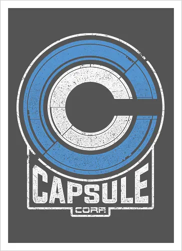 Capsule 2073