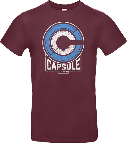 Capsule 2073