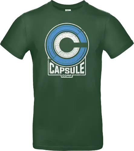 Capsule 2073