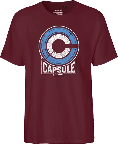Capsule 2073