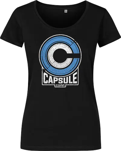 Capsule 2073