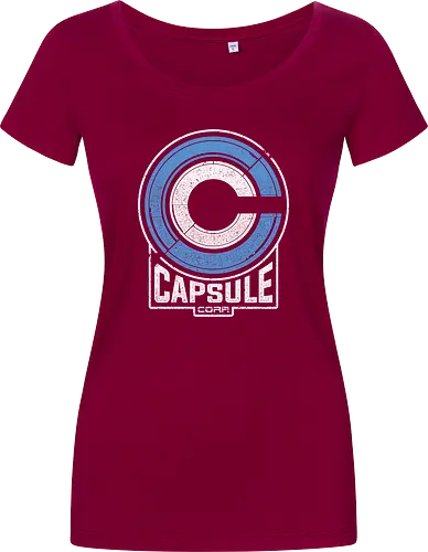 Capsule 2073