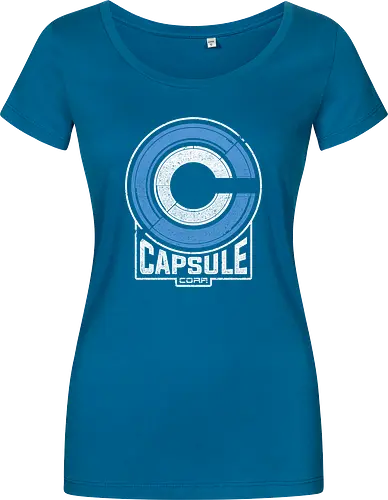 Capsule 2073
