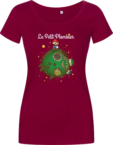 Le Petit Plombier