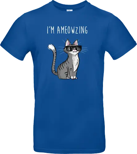 I'm Ameowzing