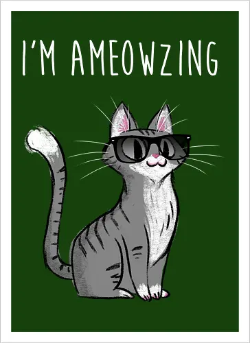 I'm Ameowzing