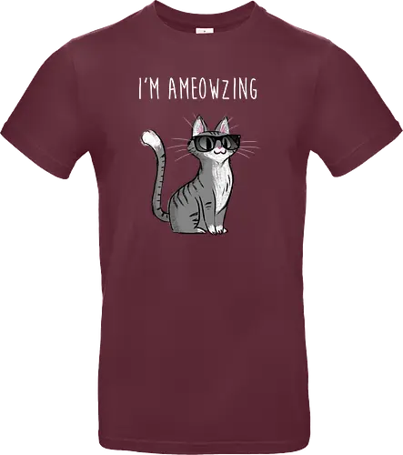 I'm Ameowzing