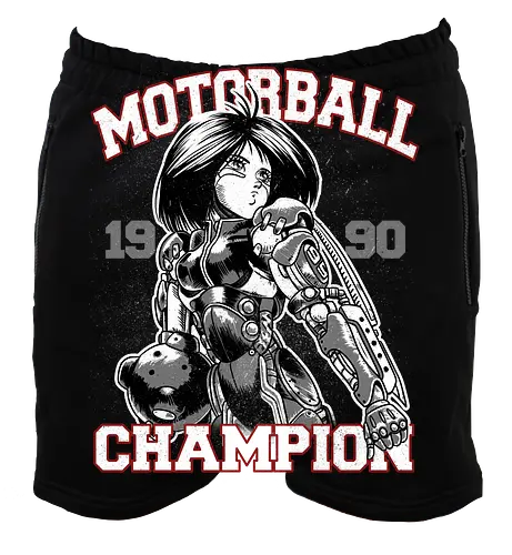 Motorball Champion