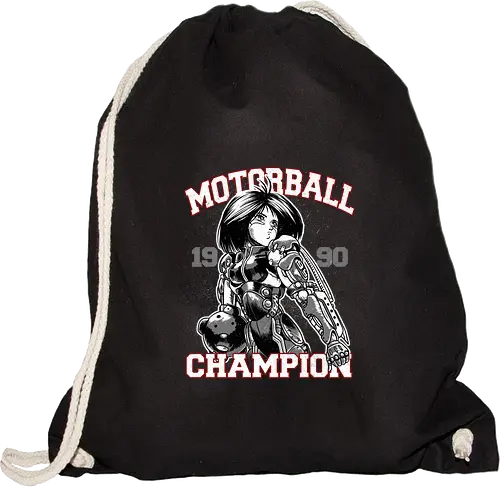 Motorball Champion