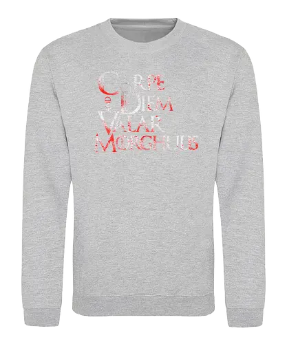 Carpe Diem - carpe diem, nutze den tag, latin, game, valar, morghulis, lied, eis, feuer, dohaeris, throConsole - Sweatshirt