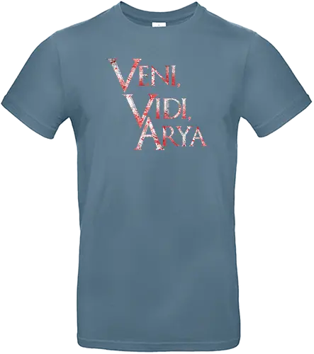 Veni, Vidi, Arya - veni vidi vici, latin, ich kam, sah, siegte, arya, lied, eis, feuer, game, throConsole - Standard T-Shirt