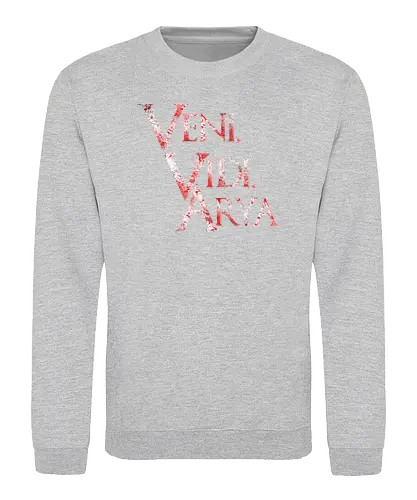 Veni, Vidi, Arya - veni vidi vici, latin, ich kam, sah, siegte, arya, lied, eis, feuer, game, throConsole - Sweatshirt