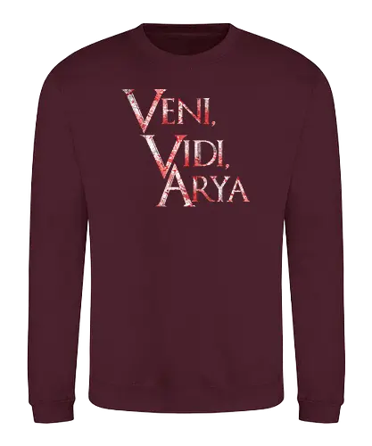 Veni, Vidi, Arya - veni vidi vici, latin, ich kam, sah, siegte, arya, lied, eis, feuer, game, throConsole - Sweatshirt