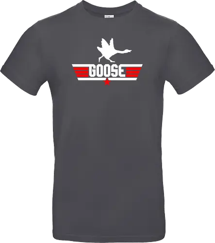 Goose over