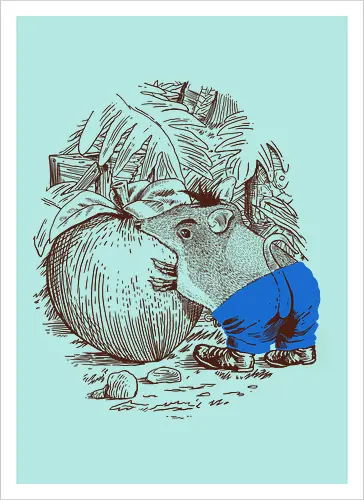 Bandicoot Sighting