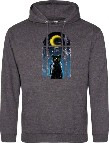 moon visitor