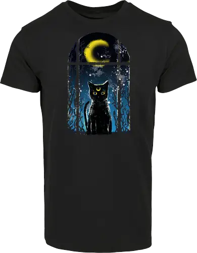 moon visitor