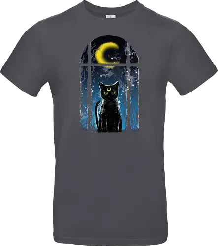 moon visitor