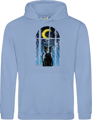 moon visitor