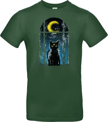 moon visitor