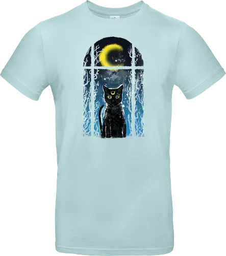 moon visitor