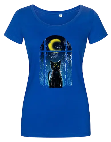 moon visitor