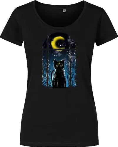 moon visitor