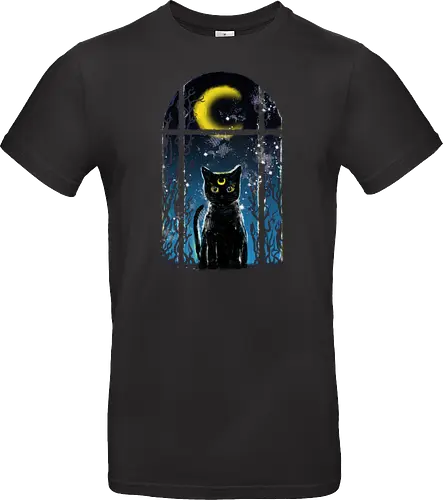 moon visitor