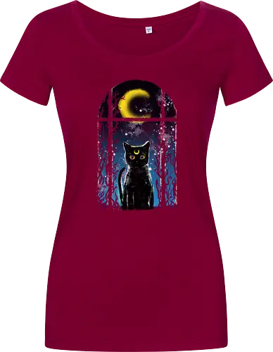 moon visitor