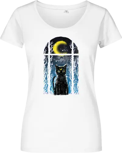 moon visitor