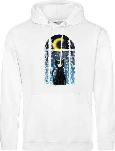 moon visitor