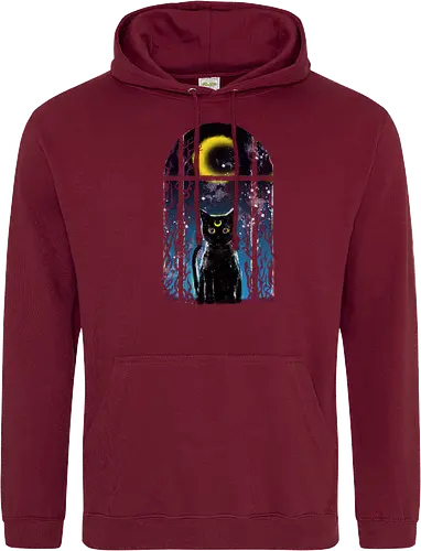 moon visitor